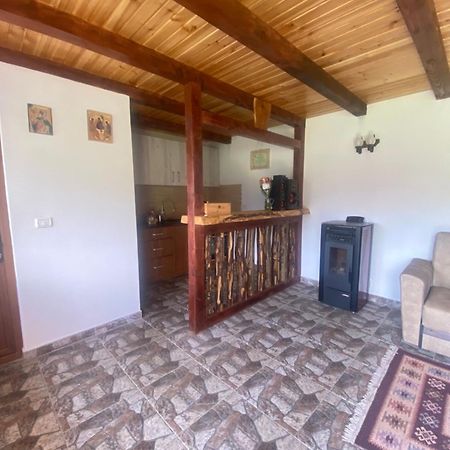 Casa Prundari Nicu Si Mirela Hotel Poiana Teiului Eksteriør billede