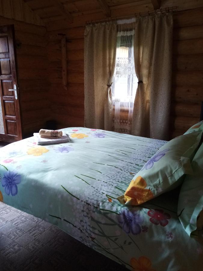 Casa Prundari Nicu Si Mirela Hotel Poiana Teiului Eksteriør billede