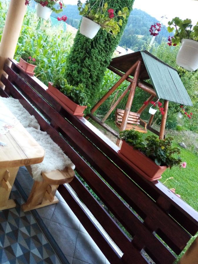 Casa Prundari Nicu Si Mirela Hotel Poiana Teiului Eksteriør billede