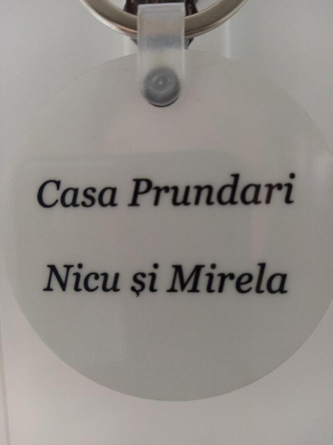 Casa Prundari Nicu Si Mirela Hotel Poiana Teiului Eksteriør billede