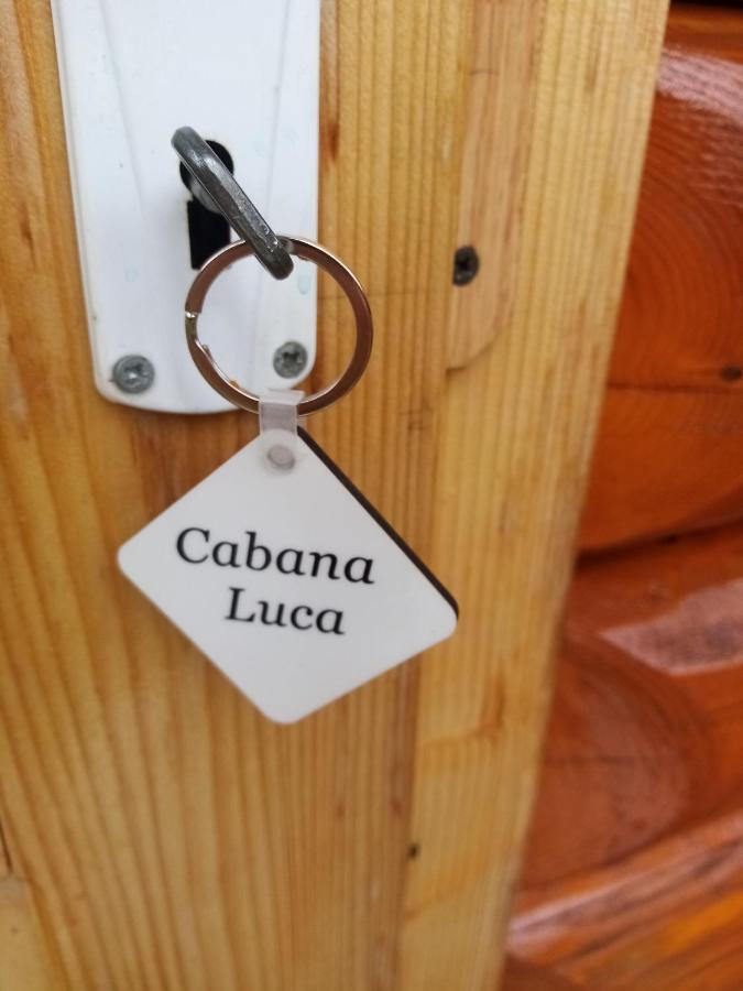 Casa Prundari Nicu Si Mirela Hotel Poiana Teiului Eksteriør billede