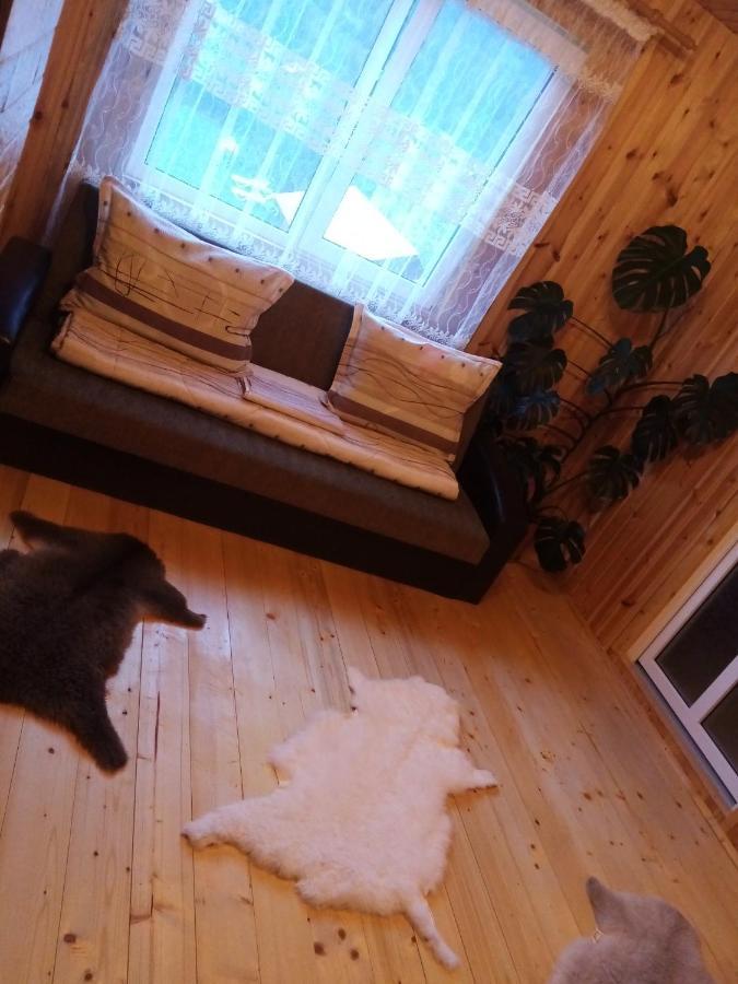 Casa Prundari Nicu Si Mirela Hotel Poiana Teiului Værelse billede
